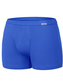 223 Authentic Perfect mini шорты муж. mini.